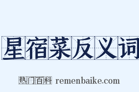 星宿菜反义词是什么意思的图片